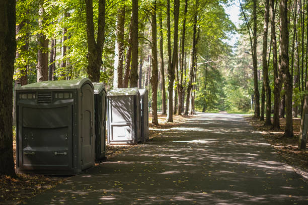 Best Luxury portable toilet rental  in Rmel Valley Village, CA